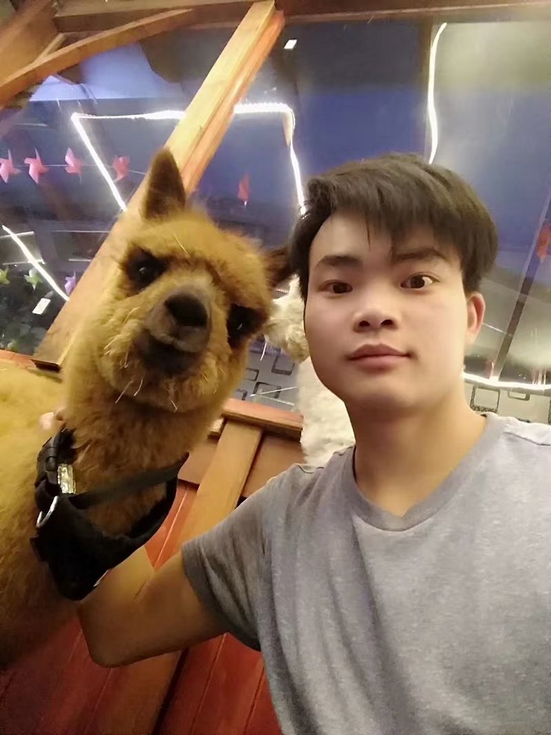 碳基杨洋