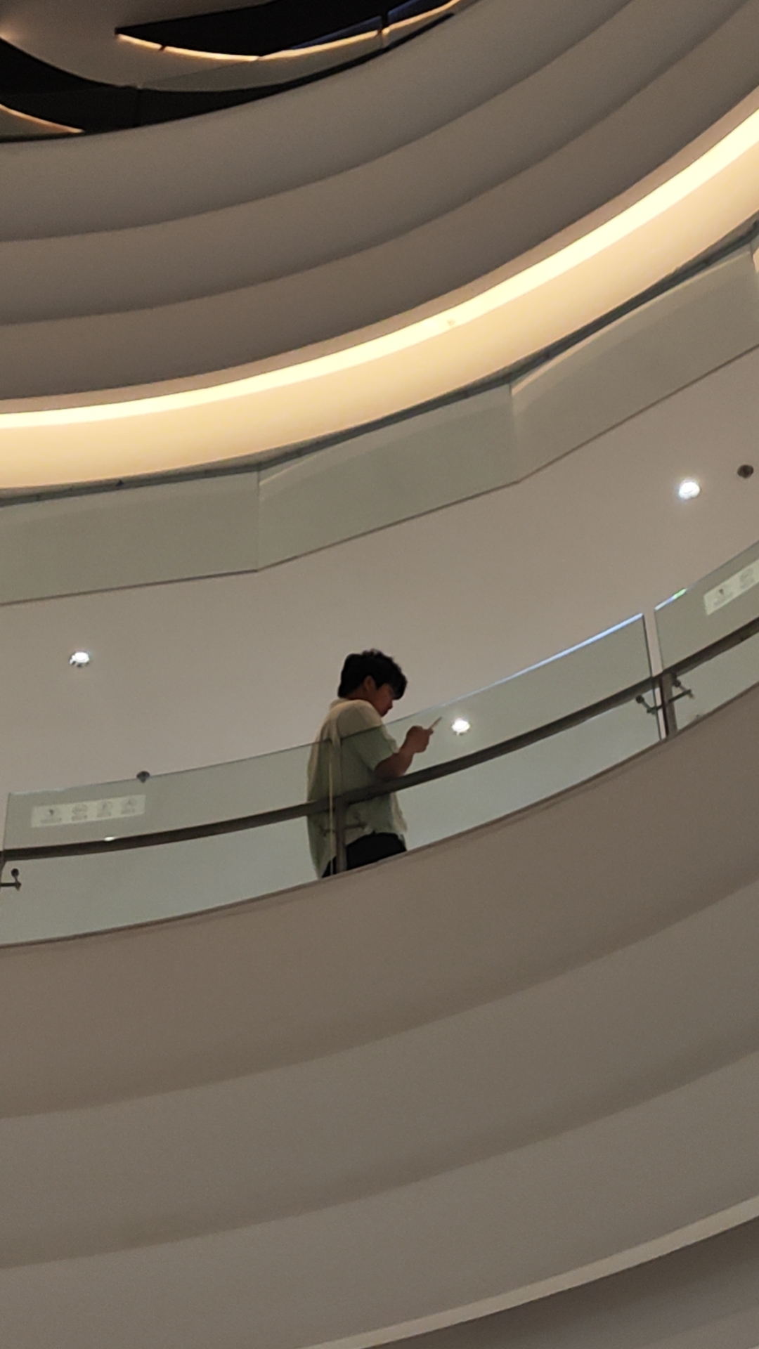 果蝇