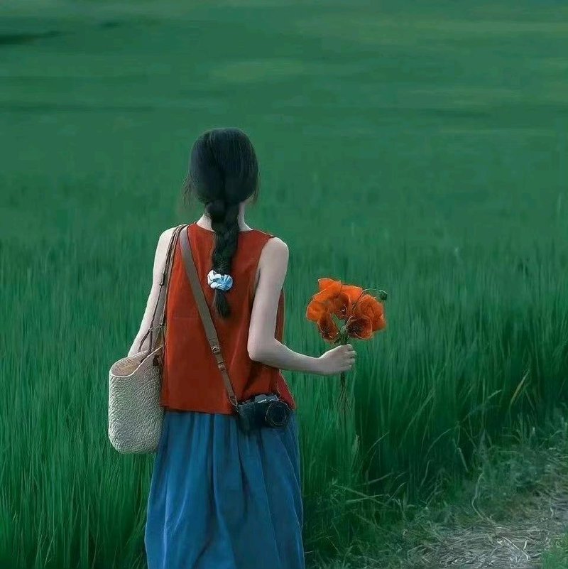 守拙自安