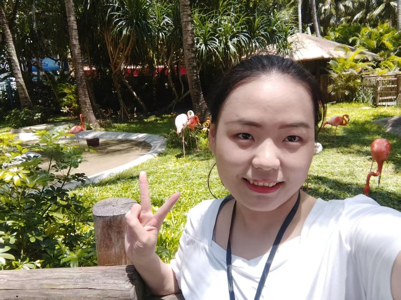 小小在这里