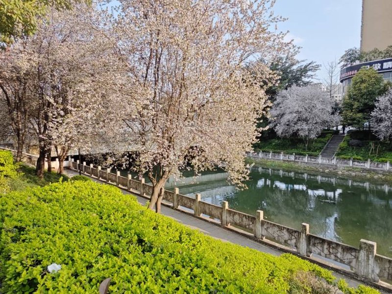 顺顺