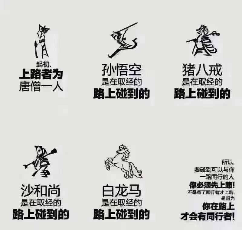 奋斗着的猪