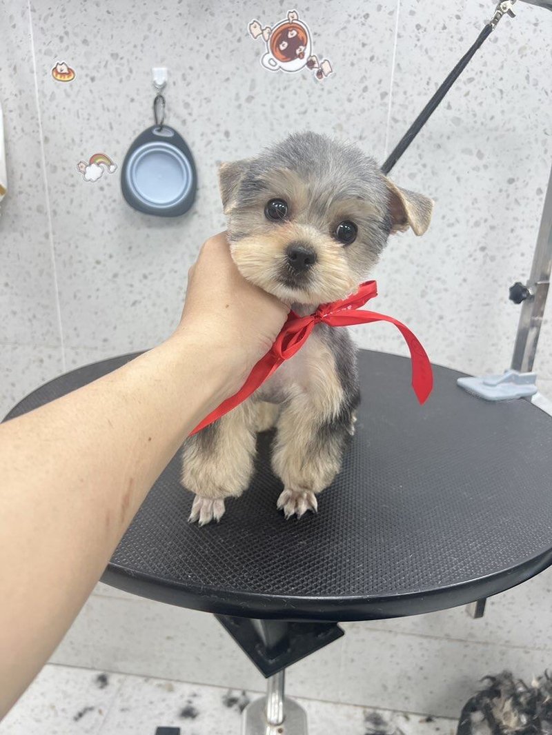 王恩文