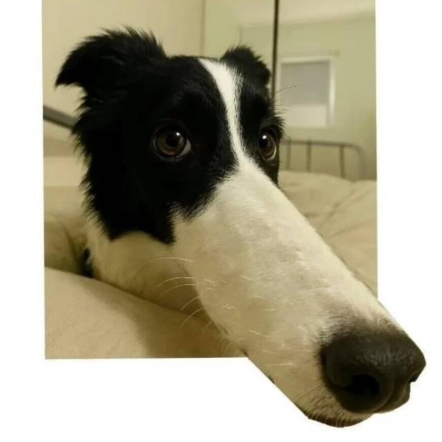 梦想一点点实现