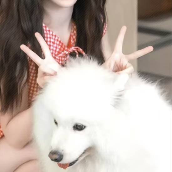 美丽