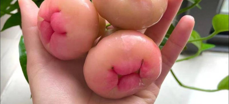 领头羊