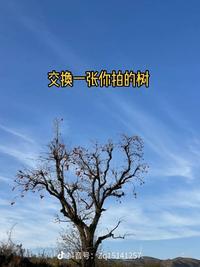 向阳