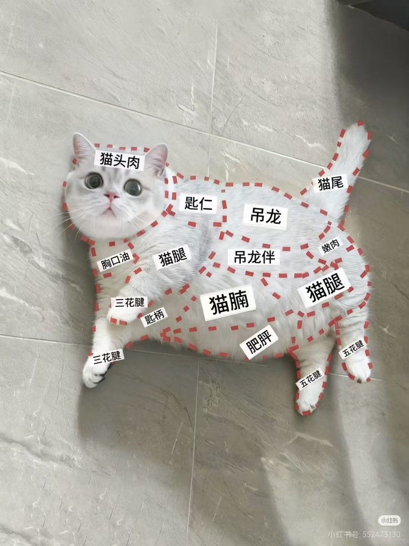 半米