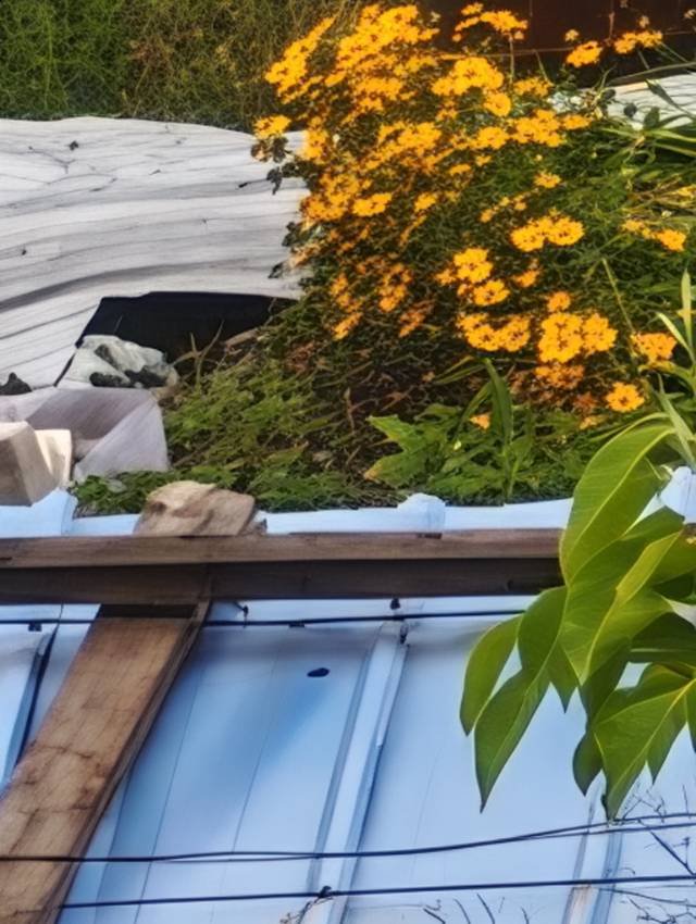 烟花不冷