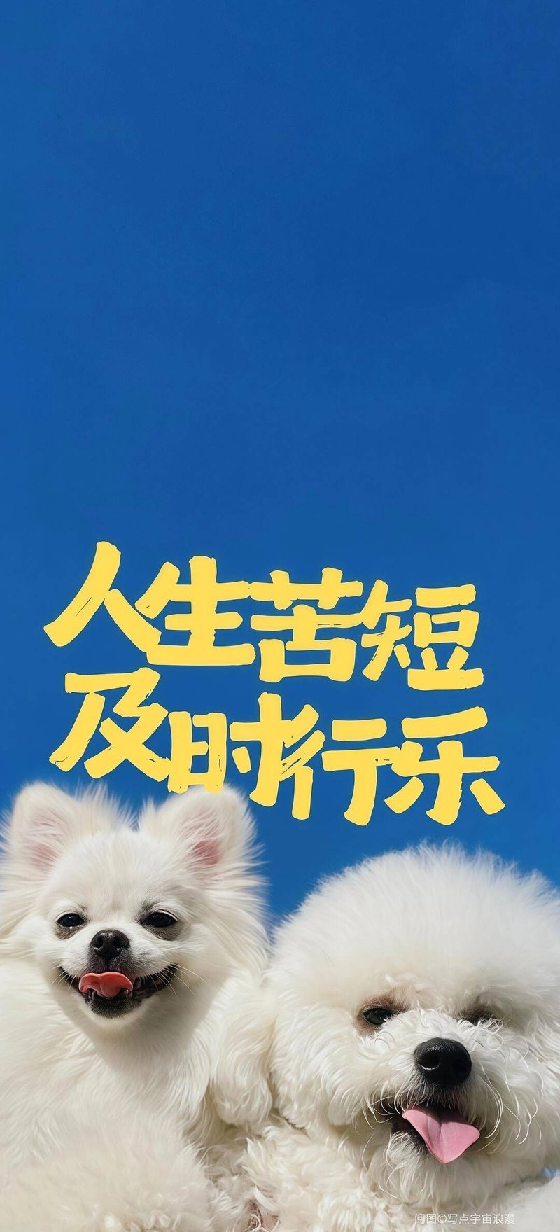 高尚