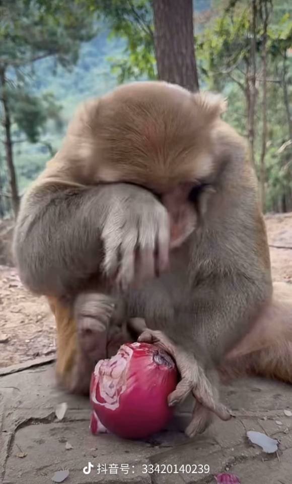 虚掩