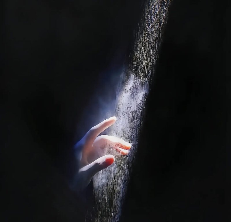 怪宝