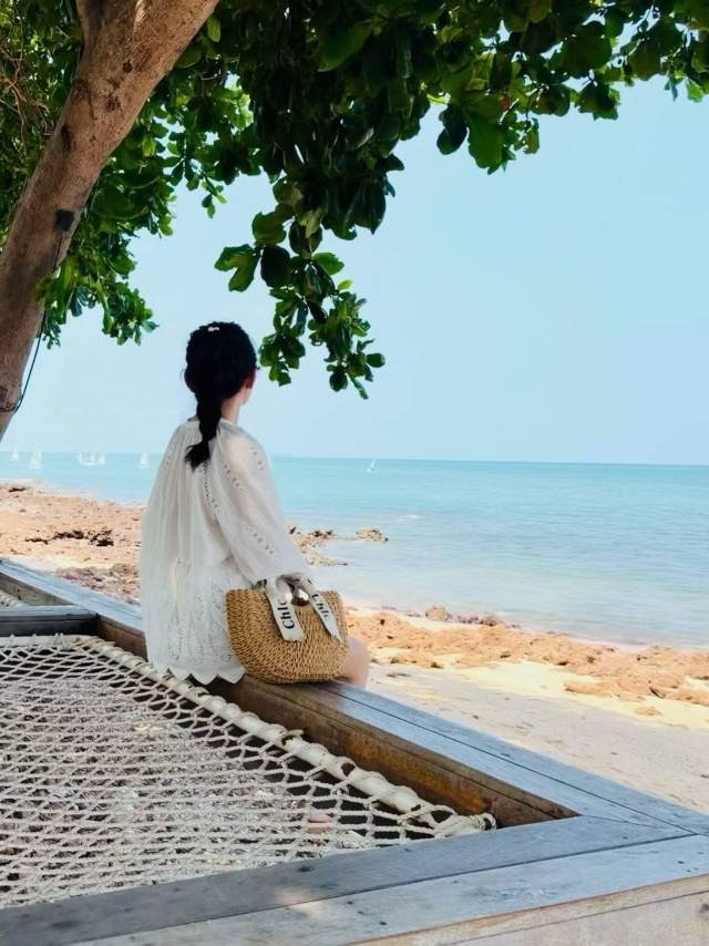 陈晓晓