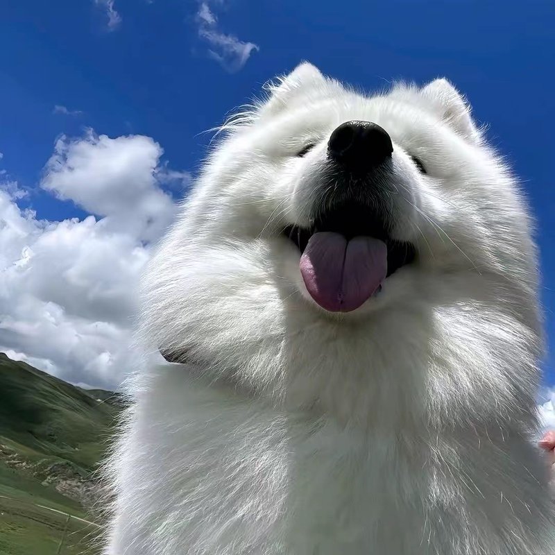 小小的烦人精