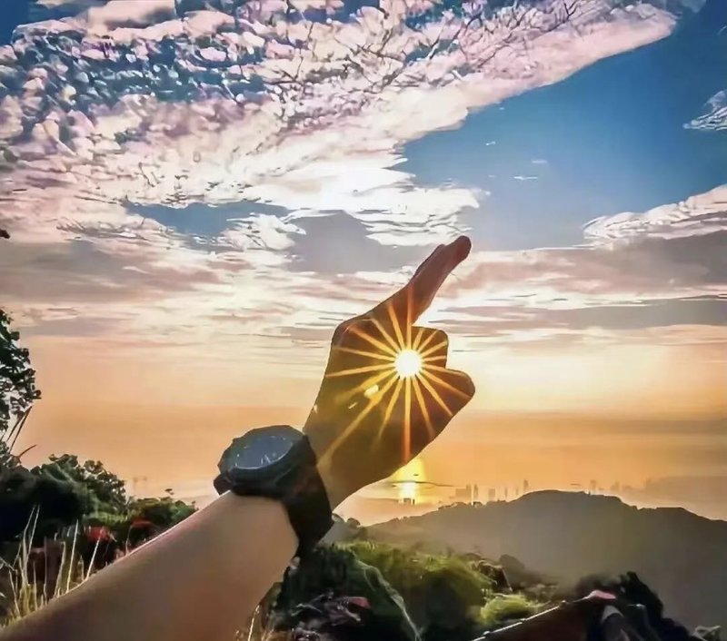 羽毛