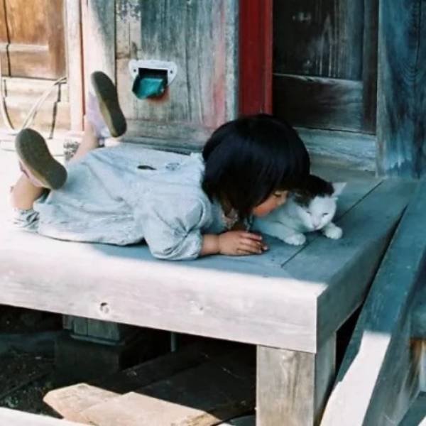 宝乐额尔登