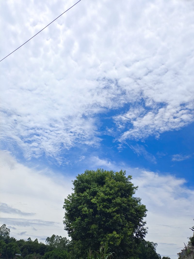 晴天