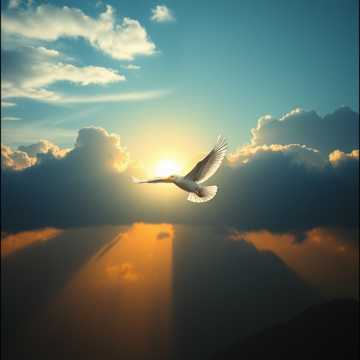 《 风之轨迹 》