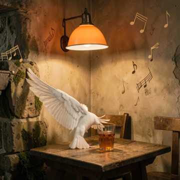 飞过旧时光的白羽