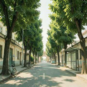 邯郸街上的梧桐