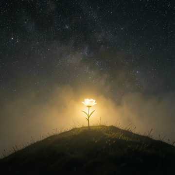 《等一场星光》