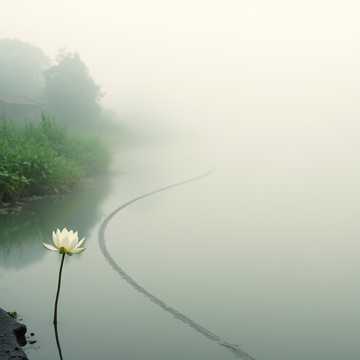 《道在低处行》（粤语版）