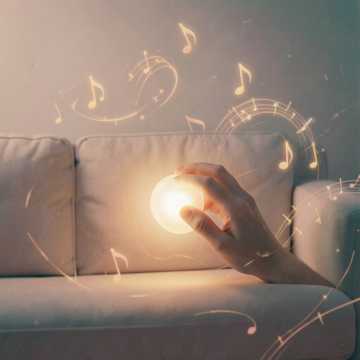 耳朵里的宝藏巡游