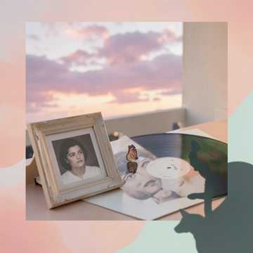 蜜语落进她眼睫