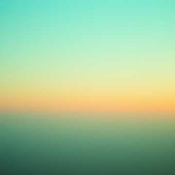 晨光街猫与茶烟