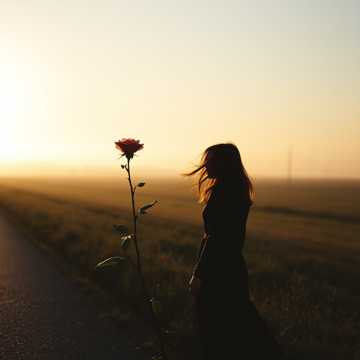 风的指缝 玫瑰的刺