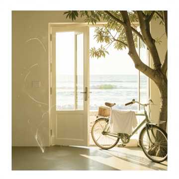 海盐味的十七岁