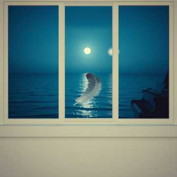 羽毛沉入深海前