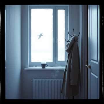 候鸟的北方空走廊