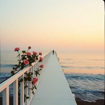 我在遥远的地方想你