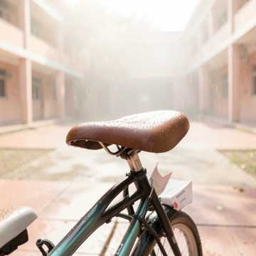 单车后座未眠的夏天