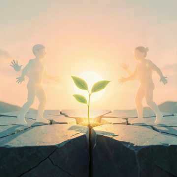 光之种与影分身的午后