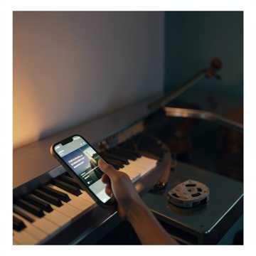 不能被打扰的密秘