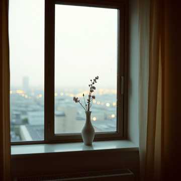 异乡的窗台