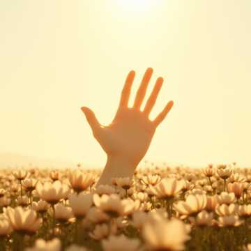 风会代替我 爱你