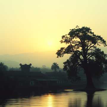 白绫挂在老榕树顶