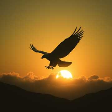 那一抹神秘迷彩