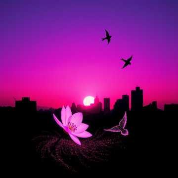 紫色余晖与燕子飞