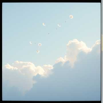 蒲公英在云上飞