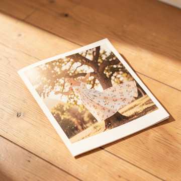 裙摆停在二十岁