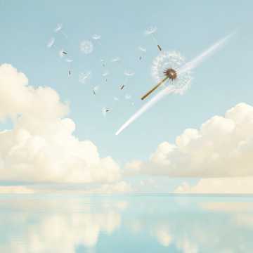 蒲公英在云上飞