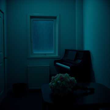 听海在暗处发芽