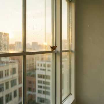 玻璃幕墙的水痕