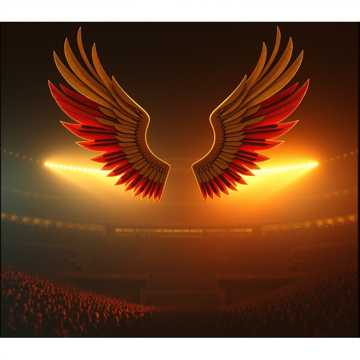 你的翅膀，我的风